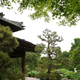 Illustration for article titled My Holiday In Japan - MASSIVE PHOTODUMP